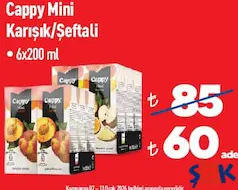 CAPPY MİNİ KARIŞIK/ŞEFTALİ MEYVE SUYU 6X200 ML fiyat ve kampanya bilgisi